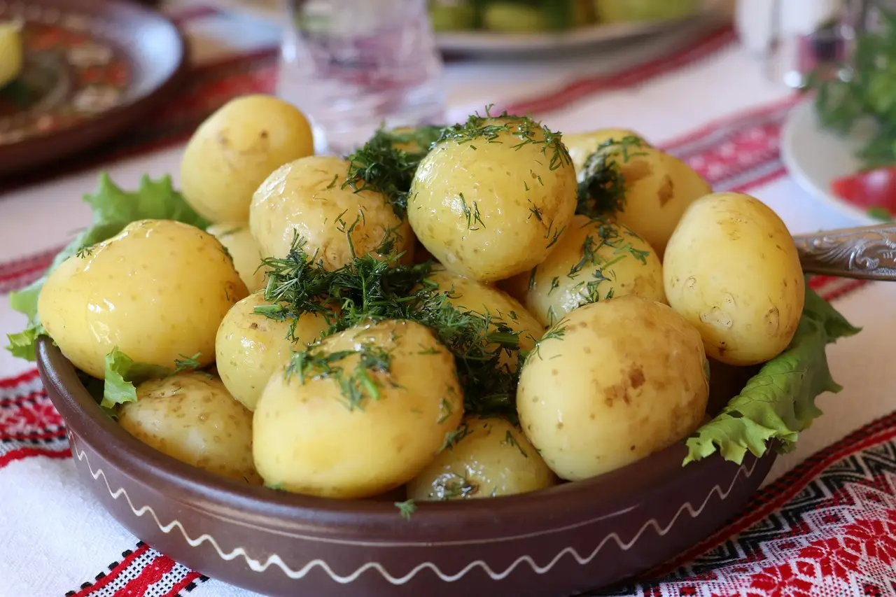 Denmark Updates Residence Rules for Ukrainian Men of Military Age - Erickson Immigration Group